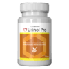 Urinol Pro to skuteczny suplement diety wzmacniający układ moczowy. Poprawia zdrowie nerek i pęcherza, zapewniając komfort.